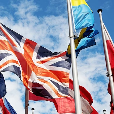 International flags